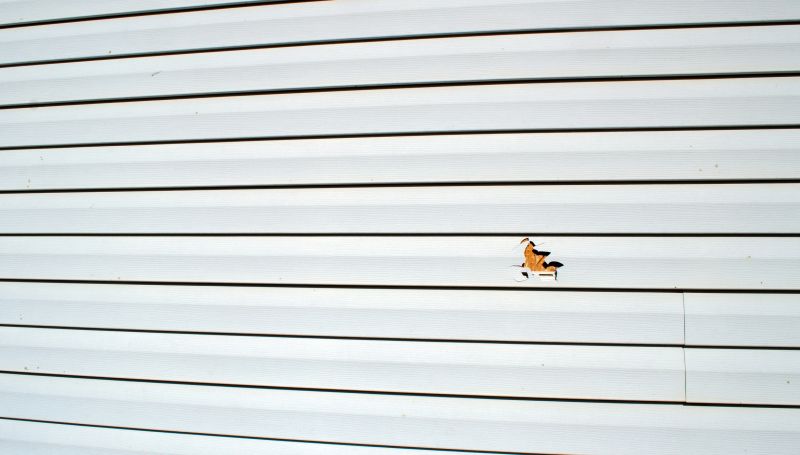 Finished Vinyl Siding Repair